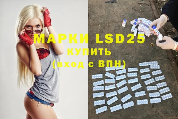 шишки Алзамай