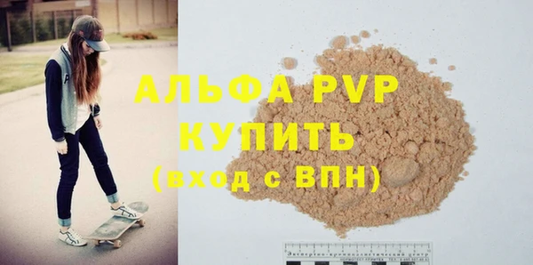 стаф Магас