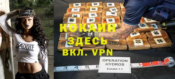 шишки Алзамай