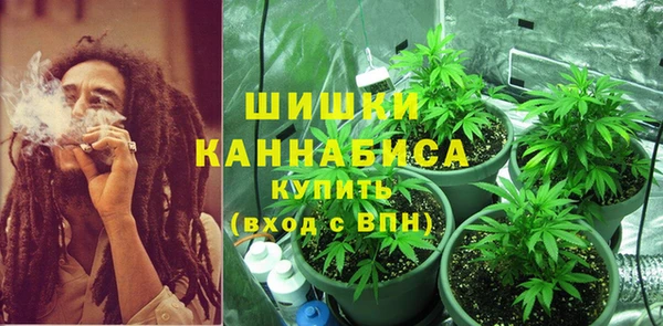 шишки Алзамай