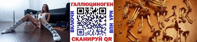 Галлюциногенные грибы Magic Shrooms  Советская Гавань 